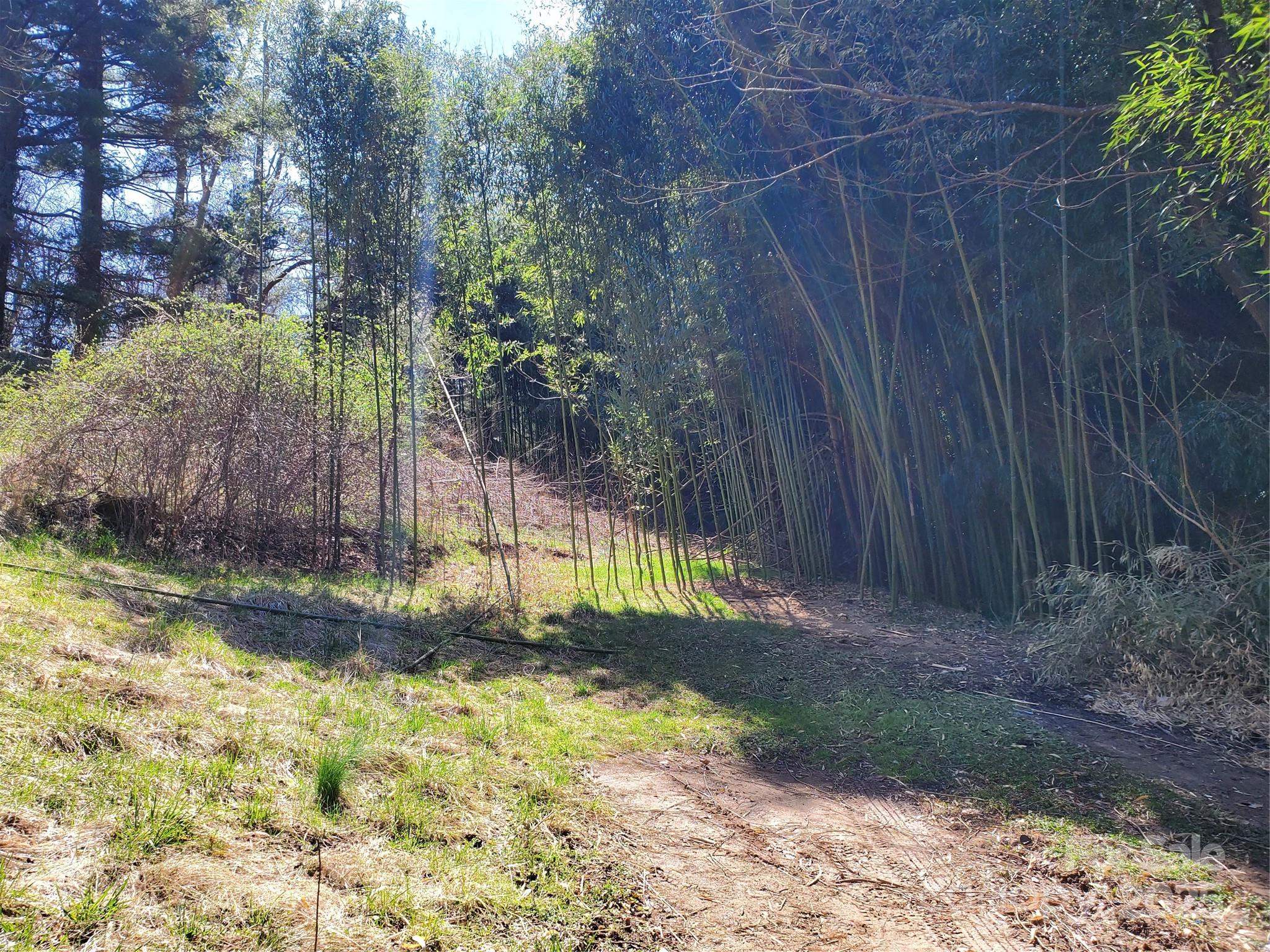 28 Plemmons Street Canton, NC 28716 - Photo 23 of 27