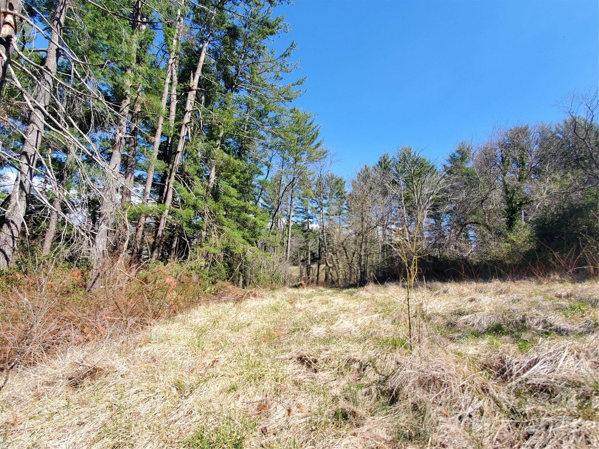 28 Plemmons Street Canton, NC 28716 - Photo 26 of 27