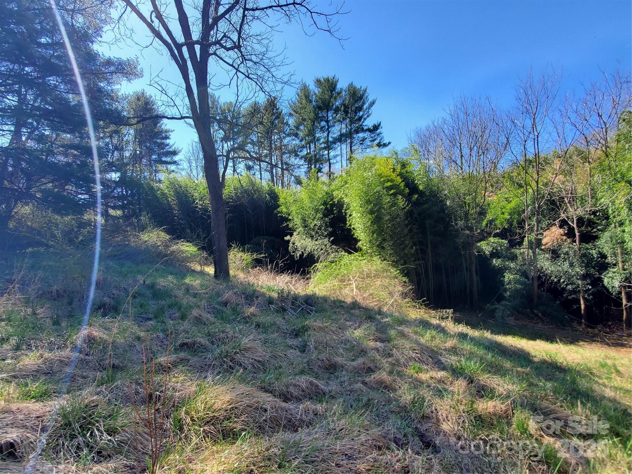 28 Plemmons Street Canton, NC 28716 - Photo 27 of 27