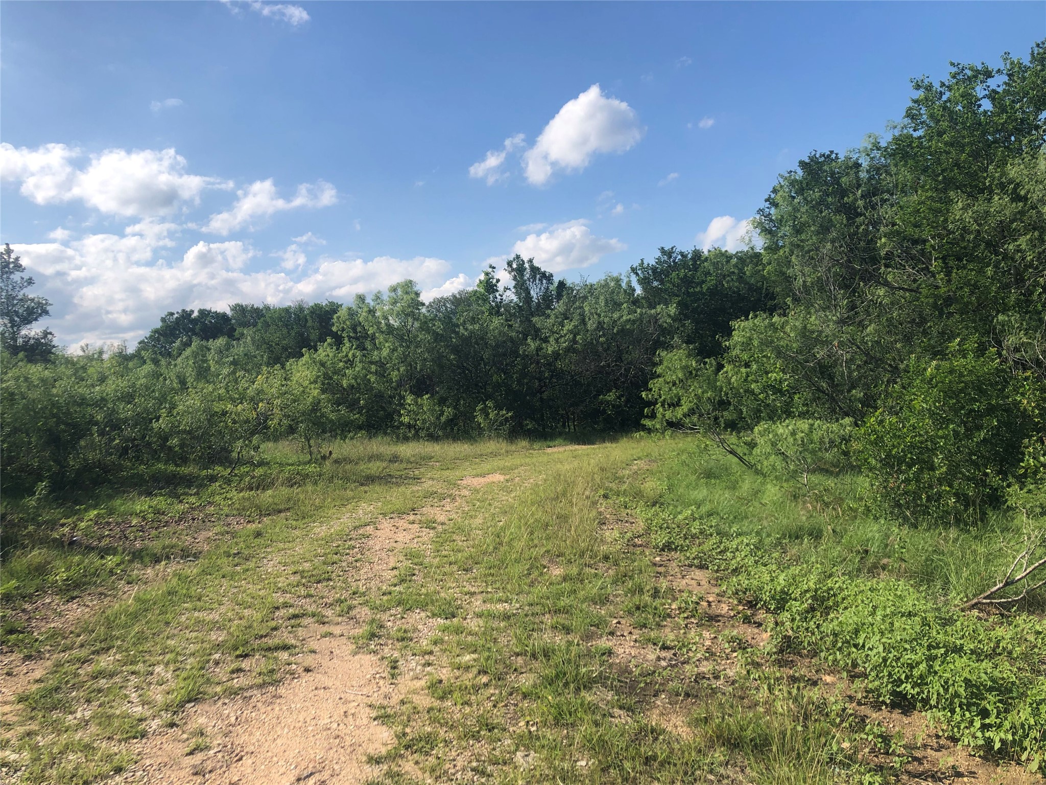 13414 Elm Grove Road Buda, TX 78610 - Photo 7 of 13 A natural, untamed lot with abundant greenery awaits development opportunities.