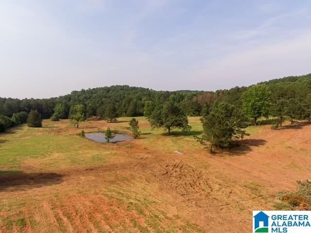 0 Stone Ridge Trail, Unit 50 87 Anniston, AL 36207 - Photo 11 of 15
