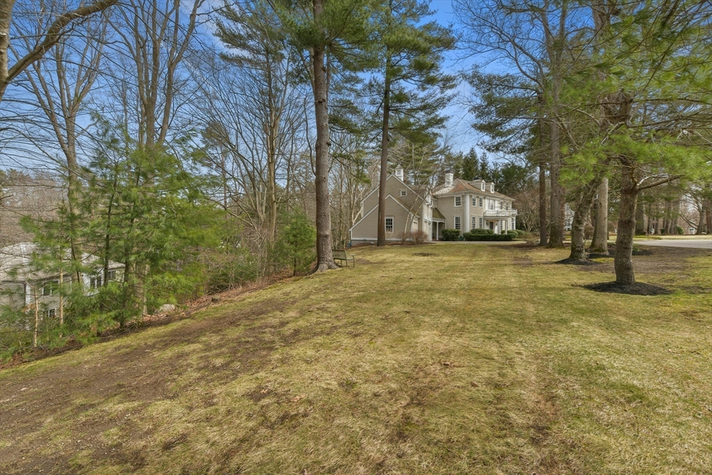 11 Olmsted Drive Hingham, MA 02043 - Photo 36 of 36 a view of a yard with trees