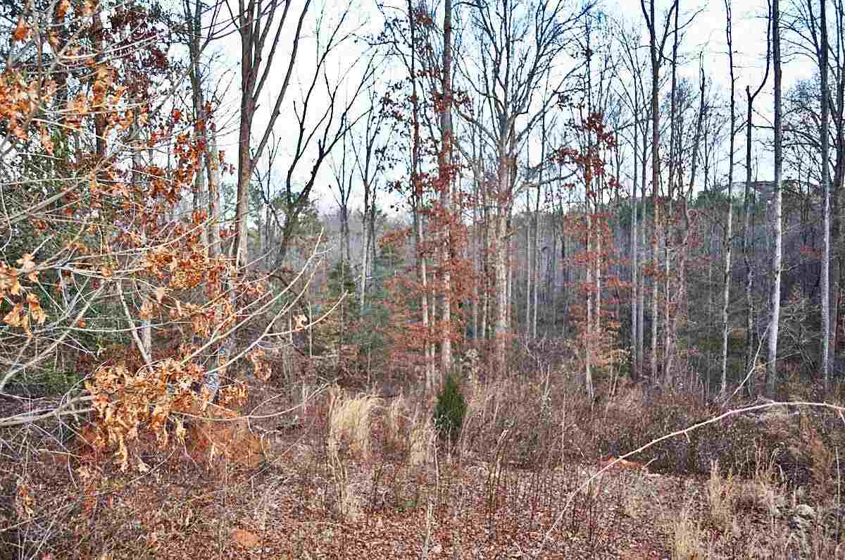 411 Spaulding Court Duncan, SC 29334 - Photo 3 of 11 Gallery Image 3
