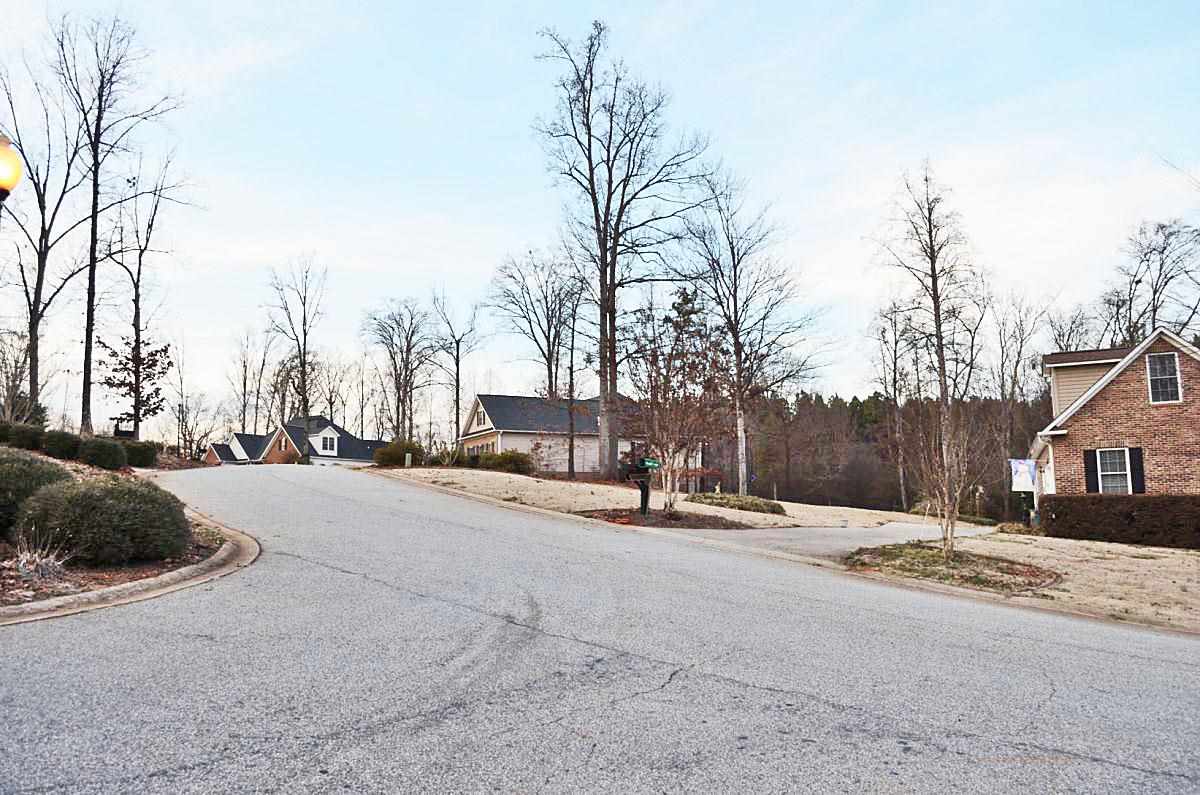 411 Spaulding Court Duncan, SC 29334 - Photo 6 of 11 Gallery Image 6