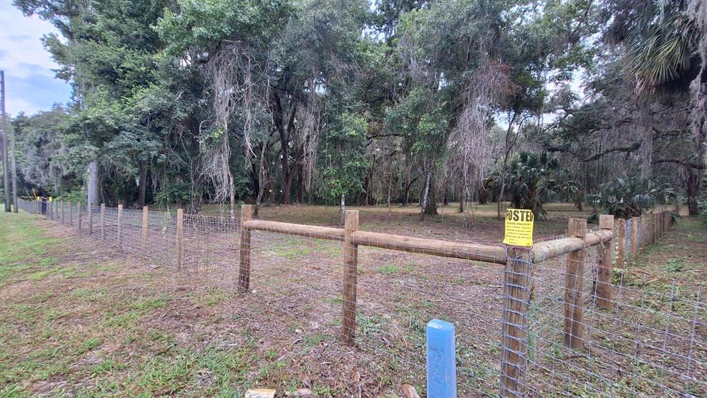 5316 Southwest 13th Street Gainesville, FL 32608 - Photo 3 of 10 a backyard of a house with lots of green space