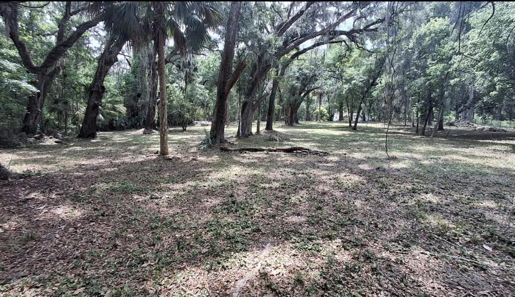 5316 Southwest 13th Street Gainesville, FL 32608 - Photo 5 of 10 a view of outdoor space with trees