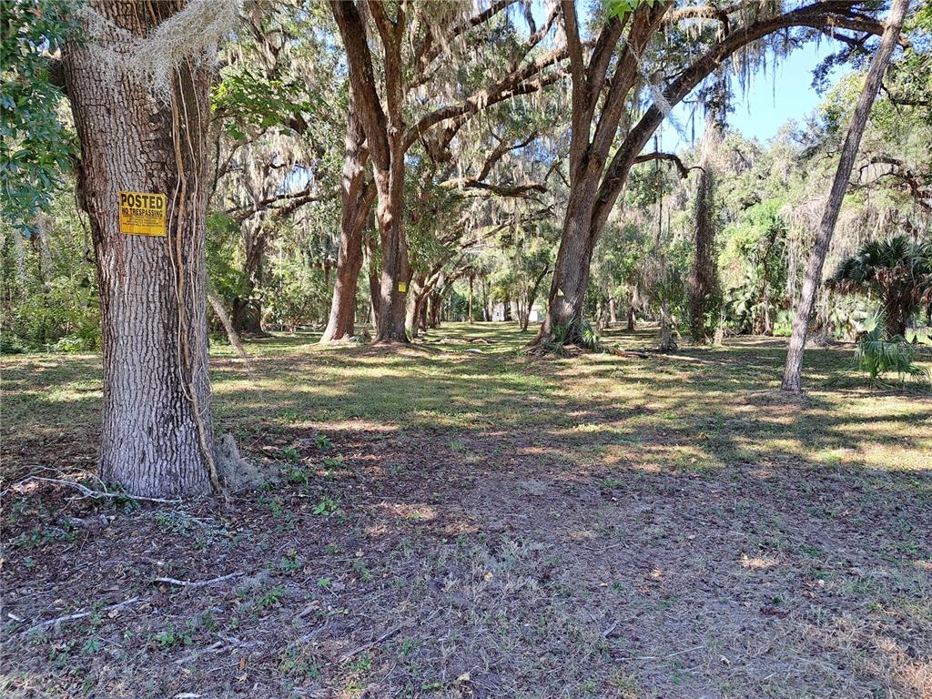 5316 Southwest 13th Street Gainesville, FL 32608 - Photo 7 of 10 a view of a yard with trees