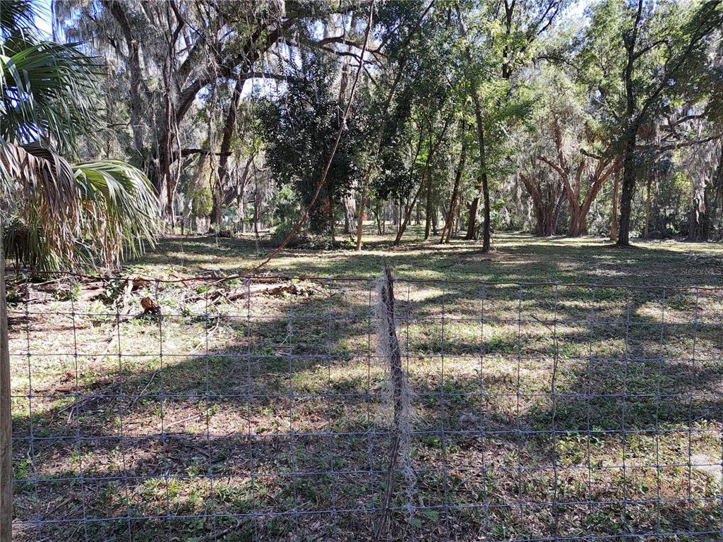 5316 Southwest 13th Street Gainesville, FL 32608 - Photo 9 of 10 a view of a forest filled with trees