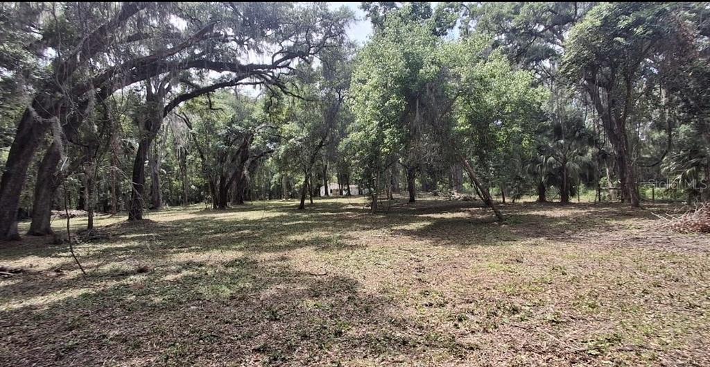 5316 Southwest 13th Street Gainesville, FL 32608 - Photo 10 of 10 a view of outdoor space with trees