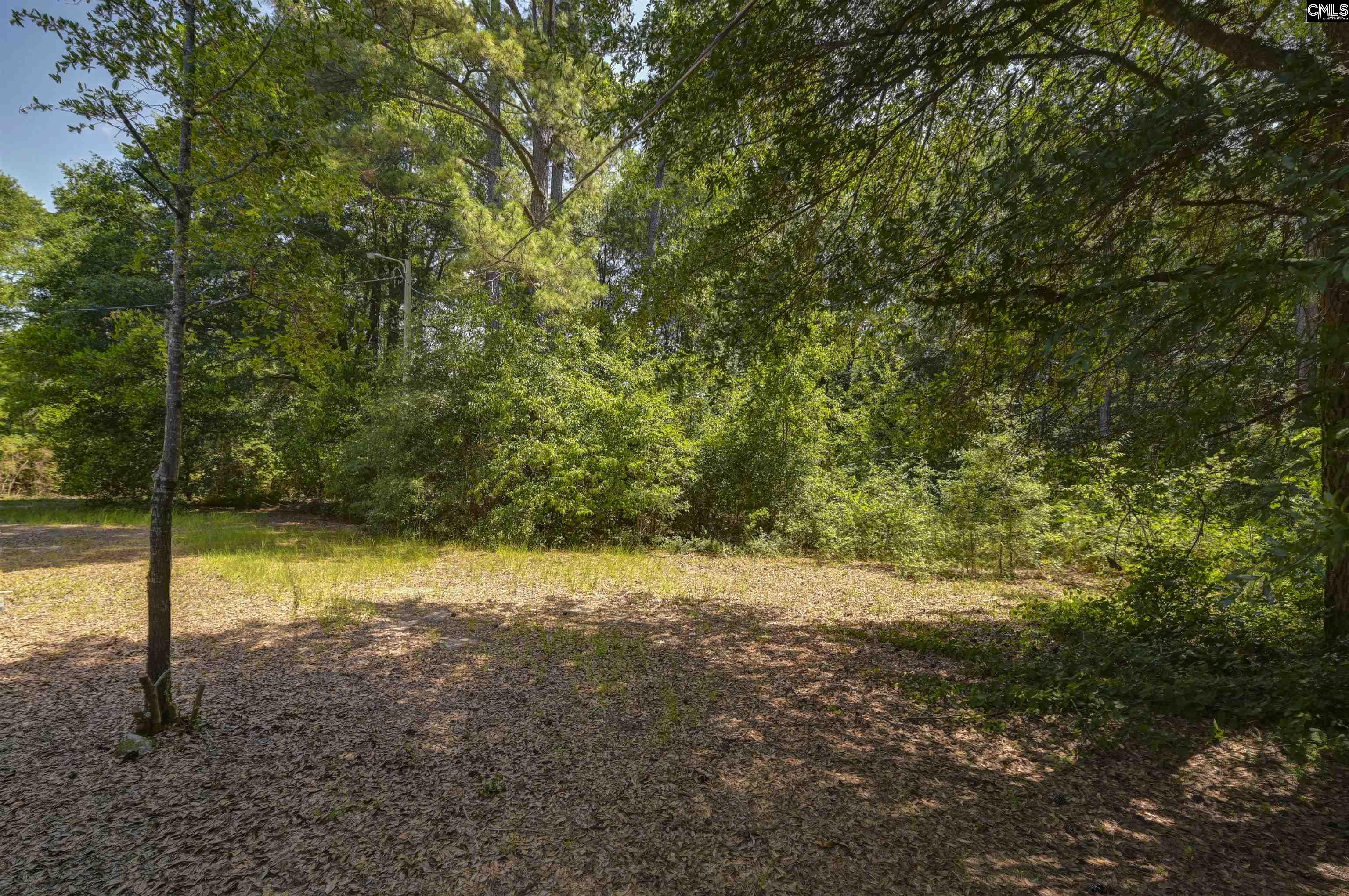 416 Otis Road Pelion, SC 29123 - Photo 47 of 48