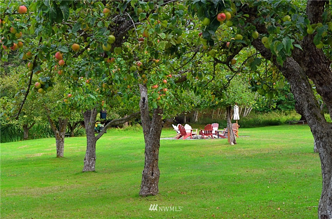 416 Lonesome Cove Road Friday Harbor, WA 98250 - Photo 27 of 40 a view of green field