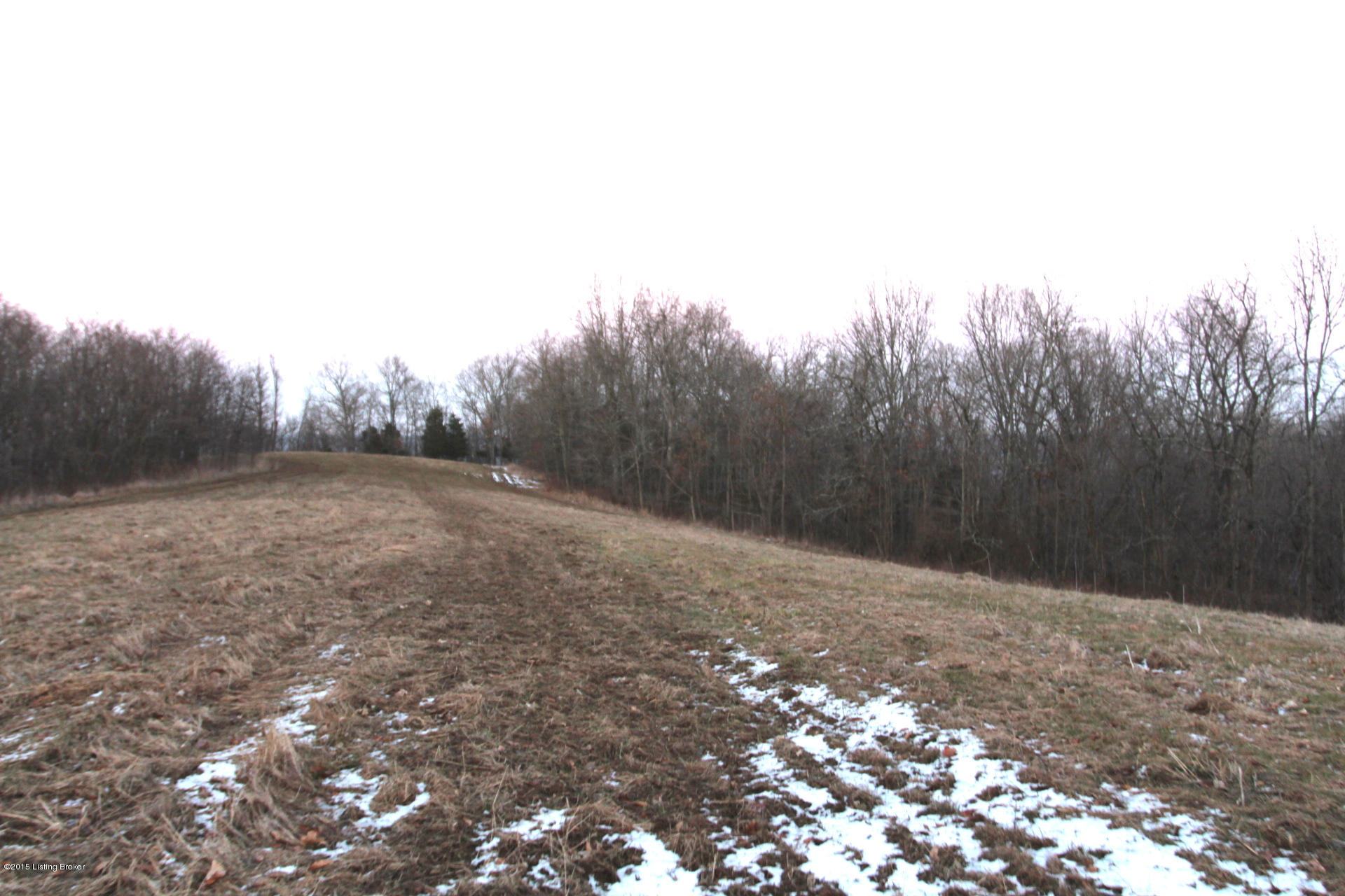 0 Penny Winkle Road Lockport, KY 40036 - Photo 15 of 21 Pennywinkle_16