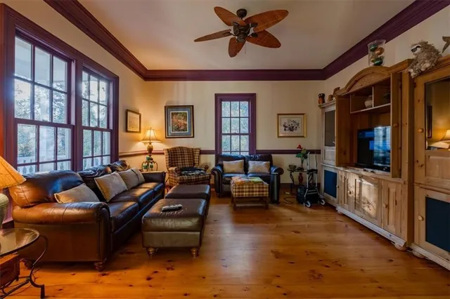 a living room with furniture or couch and a potted plant