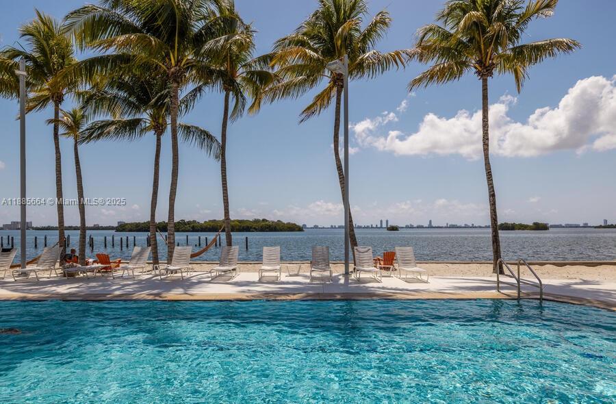a view of swimming pool with a lawn chairs and palm tree