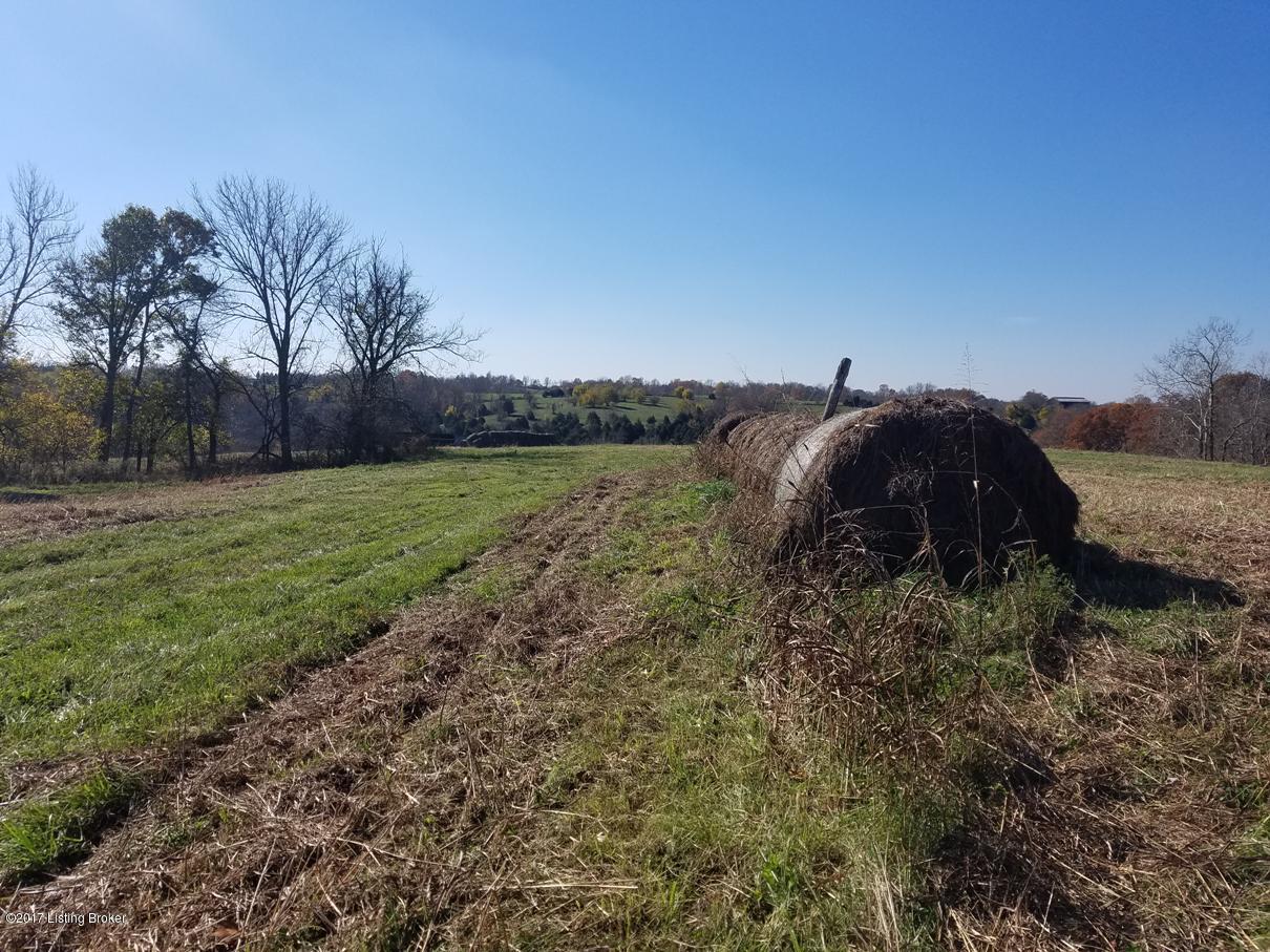 1510 Mayes Creek Road Springfield, KY 40069 - Photo 2 of 4 MAYES CR 2