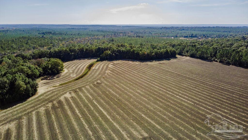 2 A Segrest Road Pace, FL 32571 - Photo 4 of 12 a view of a backyard of a house