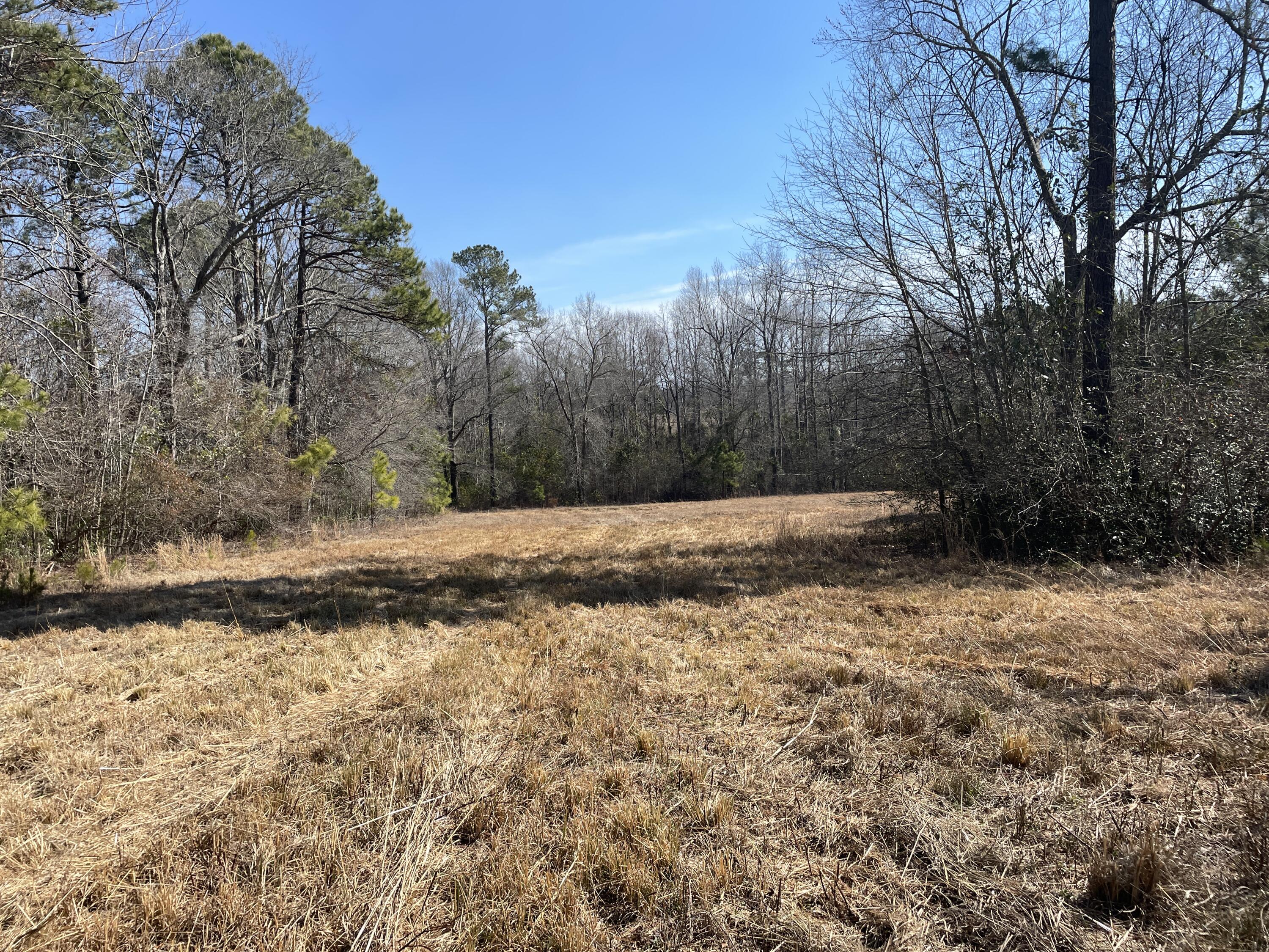 173 Wilderness Road Aiken, SC 29805 - Photo 40 of 50