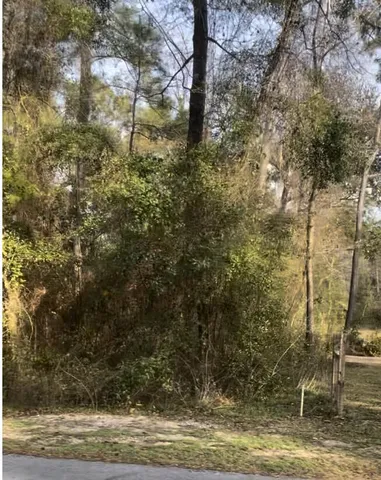 $85,000 | 1 Pine Log Road, Chipley, FL 32428