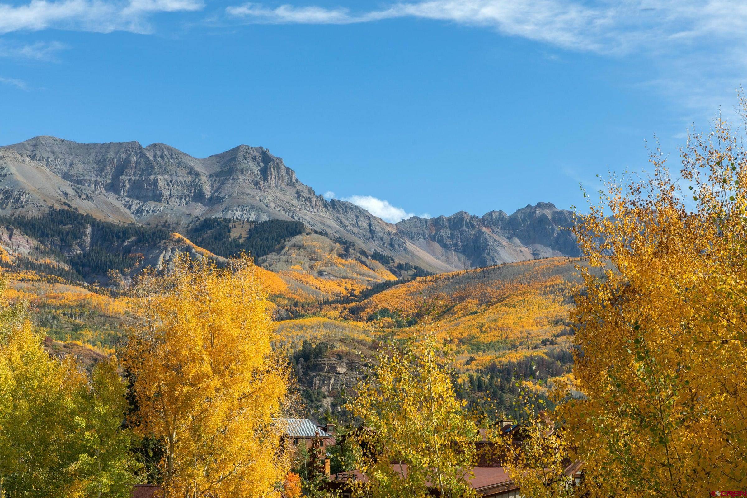 304 Adams Ranch Road, Unit 1 TIMBERVIEW Mountain Village, CO 81435 - Photo 30 of 30 Gallery Image 30