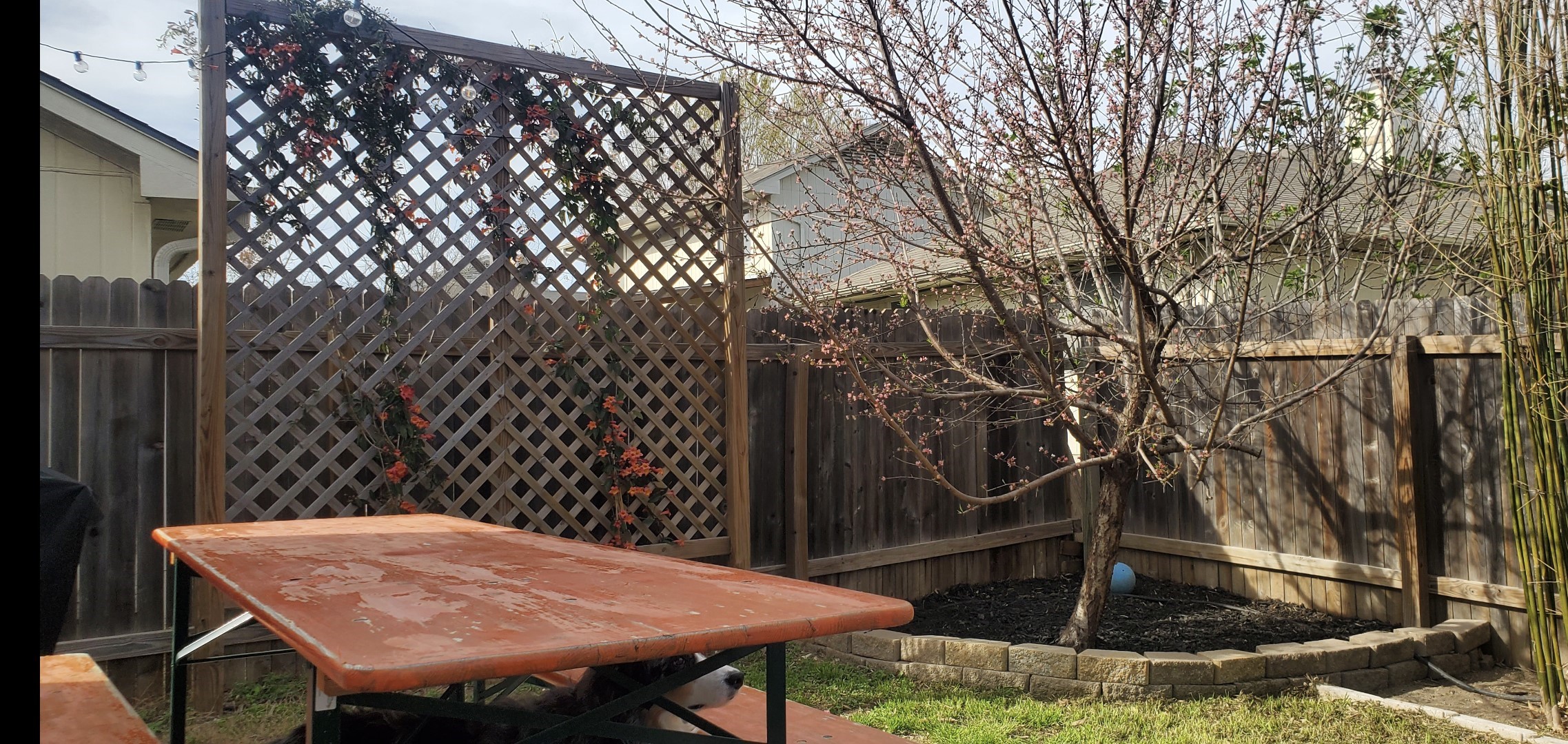 5216 Coppermead Lane Austin, TX 78754 - Photo 20 of 22