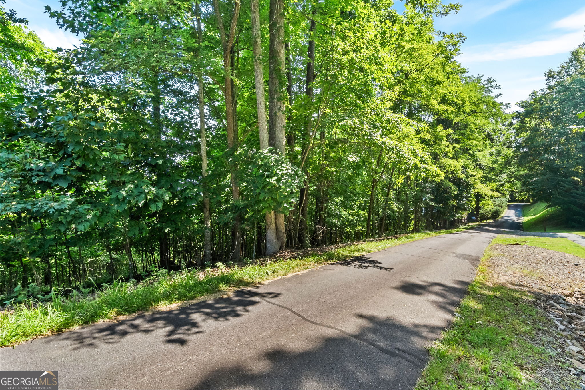 46 Buck Ridge Drive Murphy, NC 28906 - Photo 13 of 17