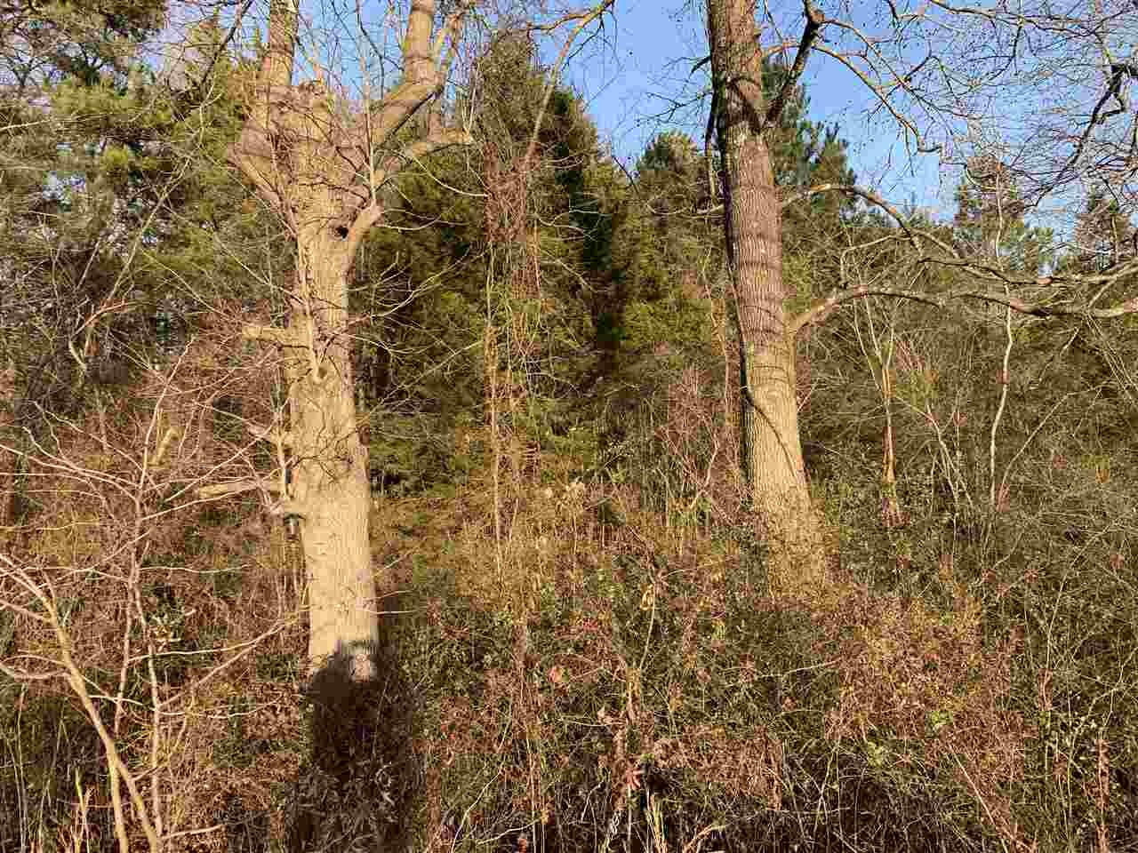 0 Airline Road Eads, TN 38028 - Photo 3 of 3 Gallery Image 3