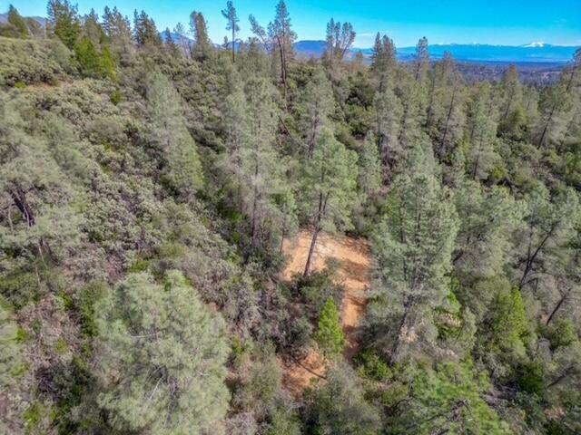 0 Quail Run Road Redding, CA 96003 - Photo 2 of 14 IMG_2870