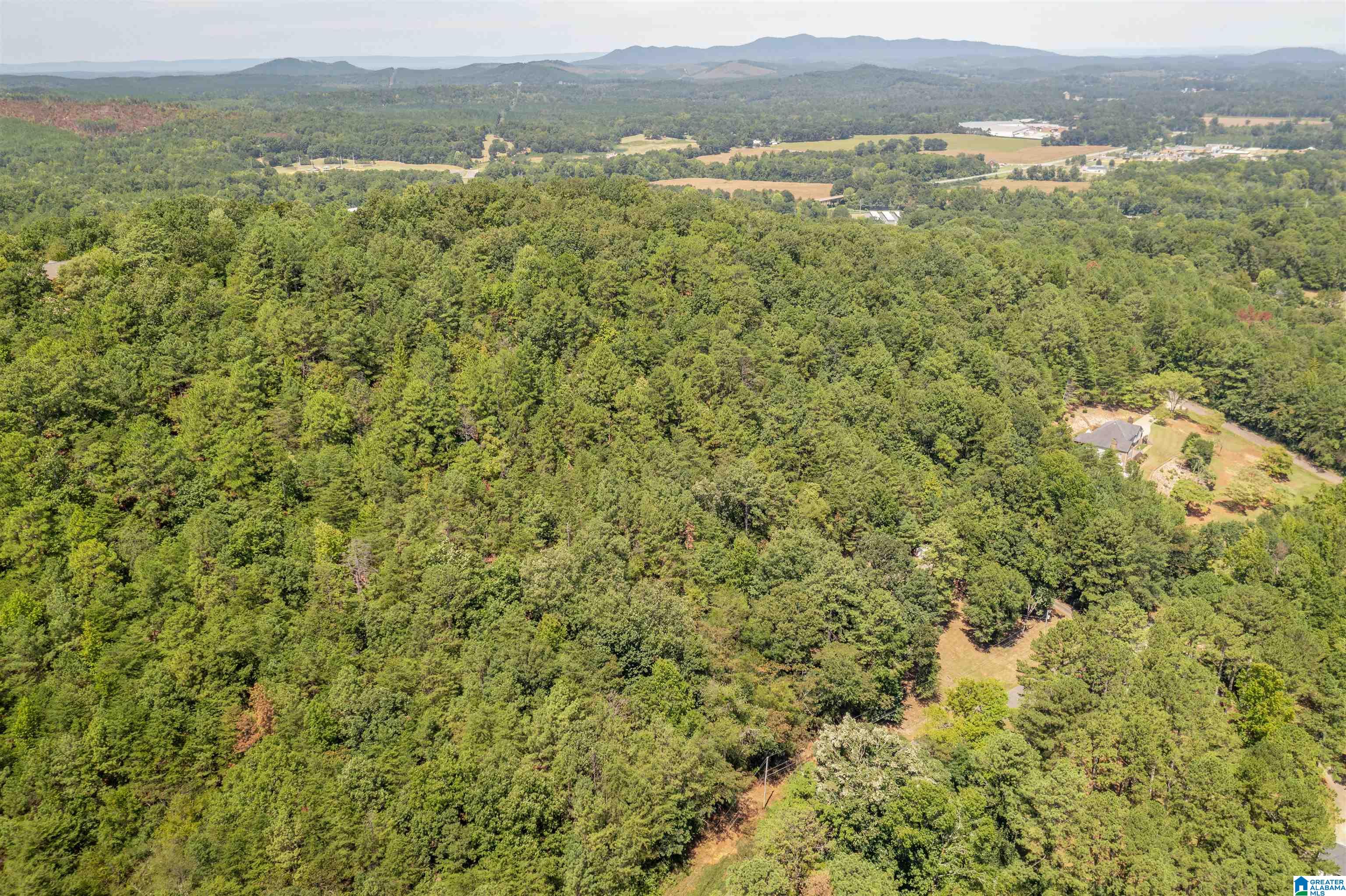 314 Oak Ridge Lane Piedmont, AL 36272 - Photo 33 of 37