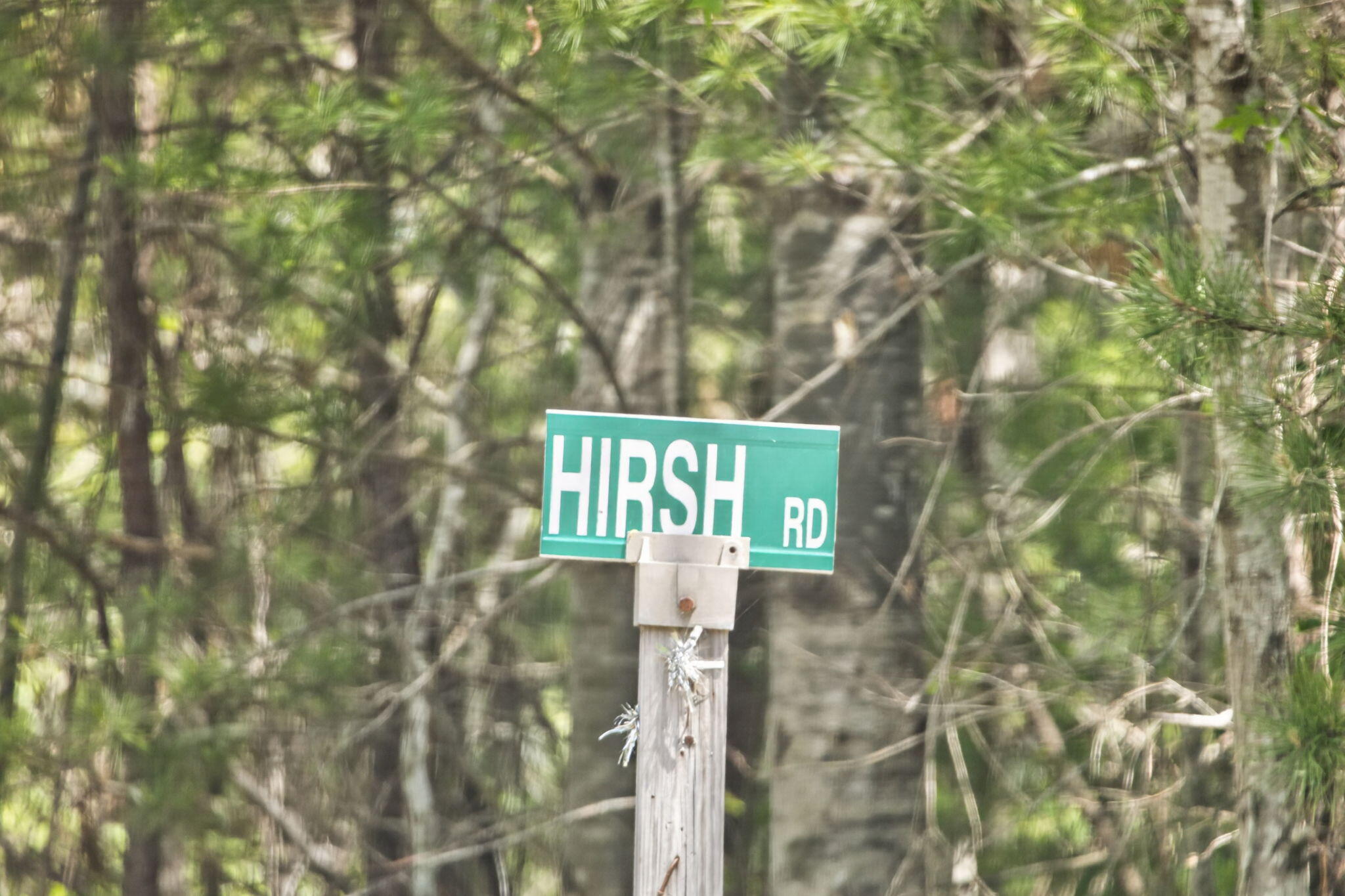 20 Hirsch Road Forestdale, MA 02644 - Photo 27 of 27 3-PF0A2449