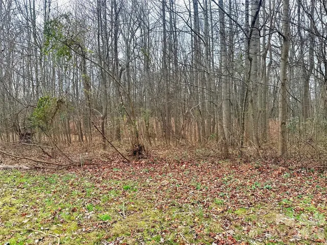 a wooden bench with trees in the background