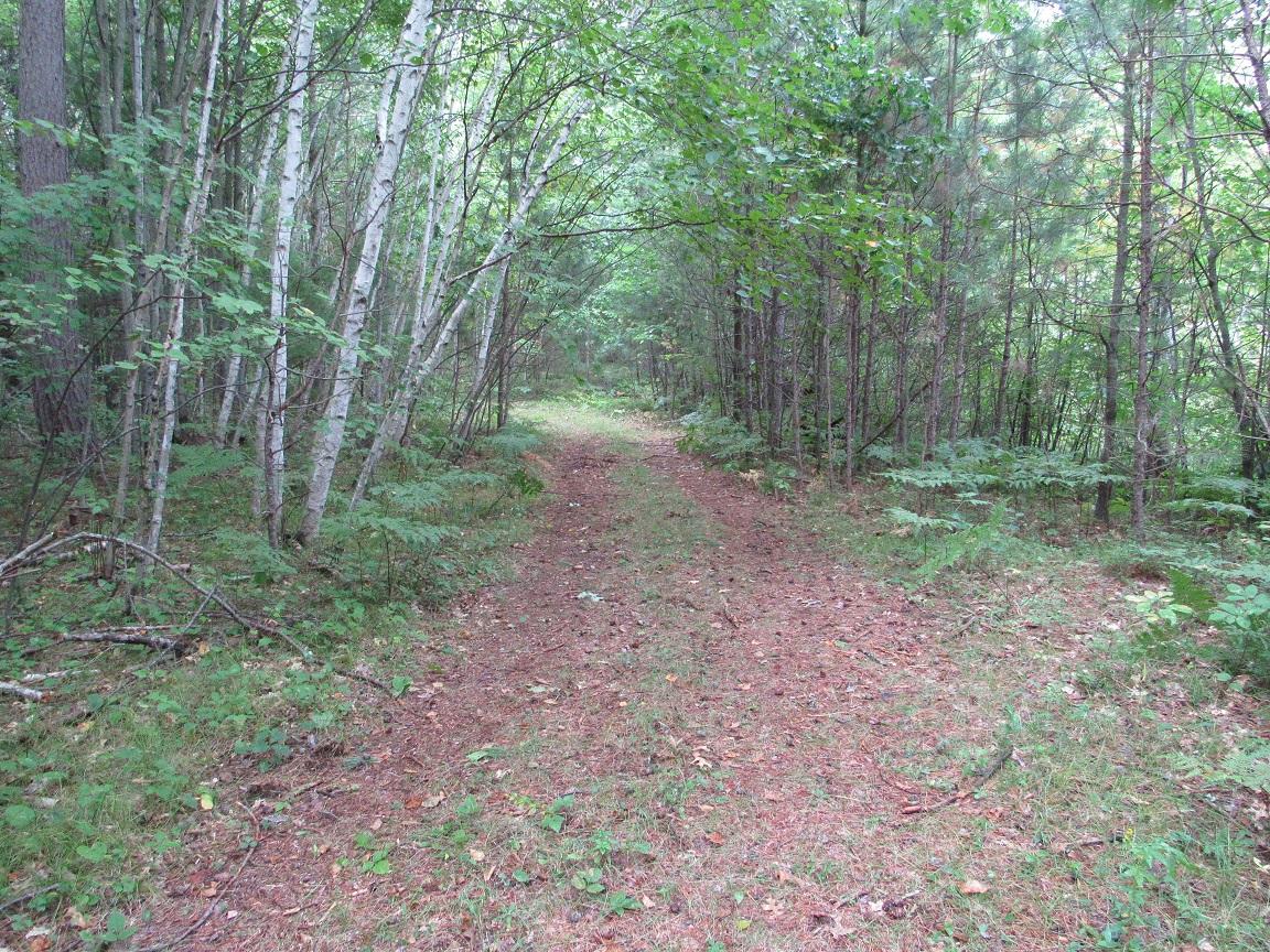 Peters - Bennet Rd, Athelstane