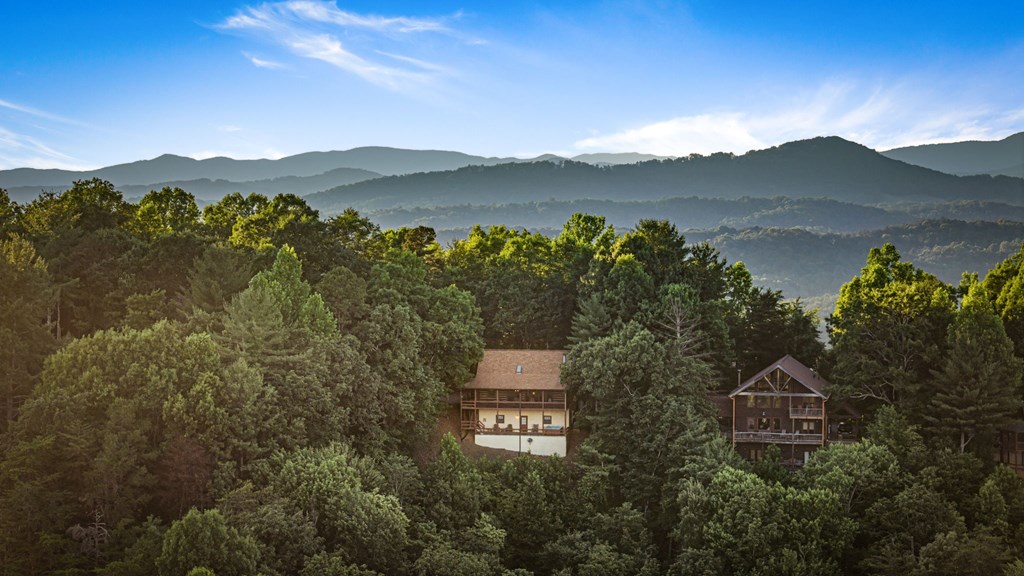 1289 My Mountain Road Morganton, GA 30560 - Photo 50 of 68