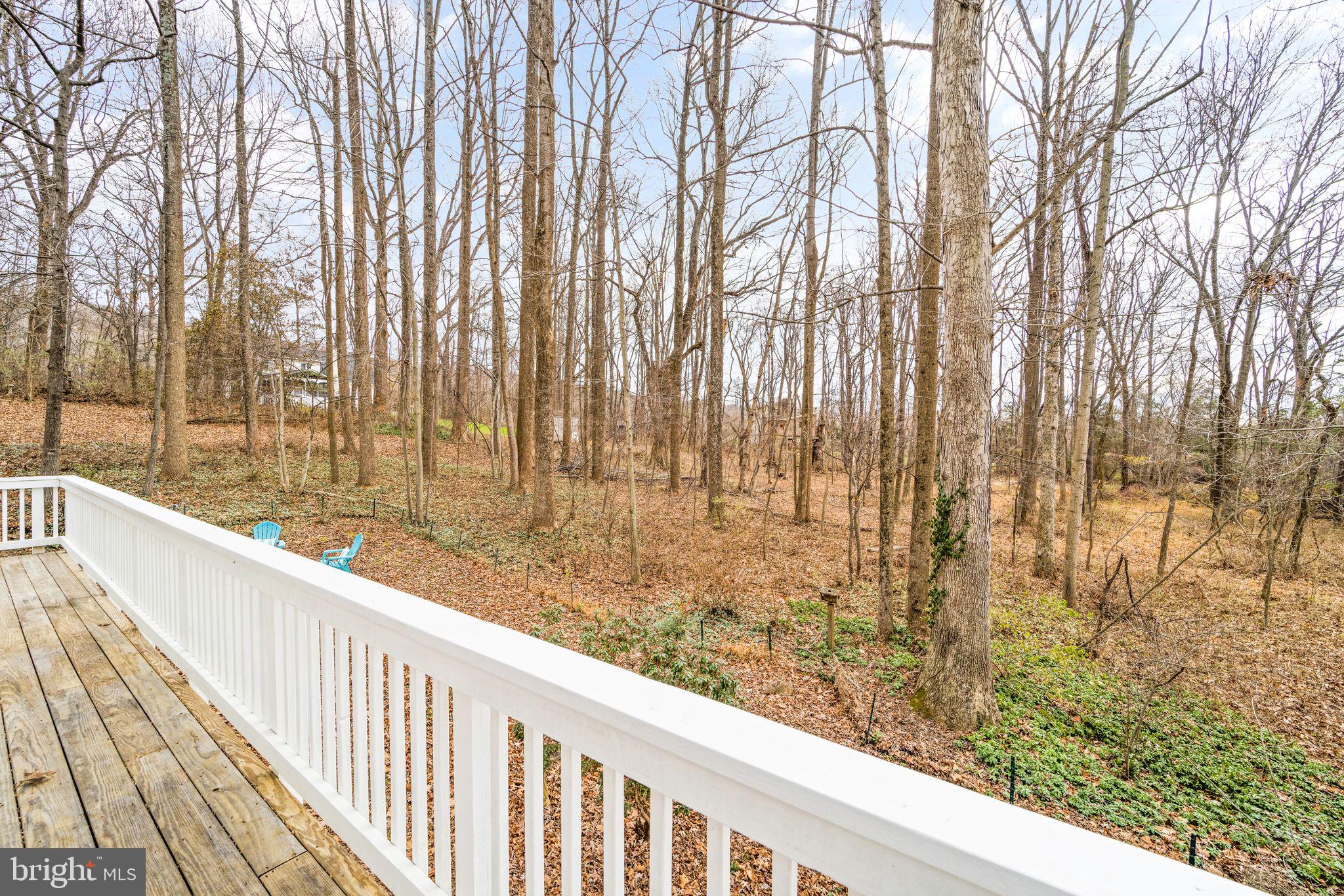 5397 Old Bust Head Road Broad Run, VA 20137 - Photo 54 of 65 Gallery Image 54