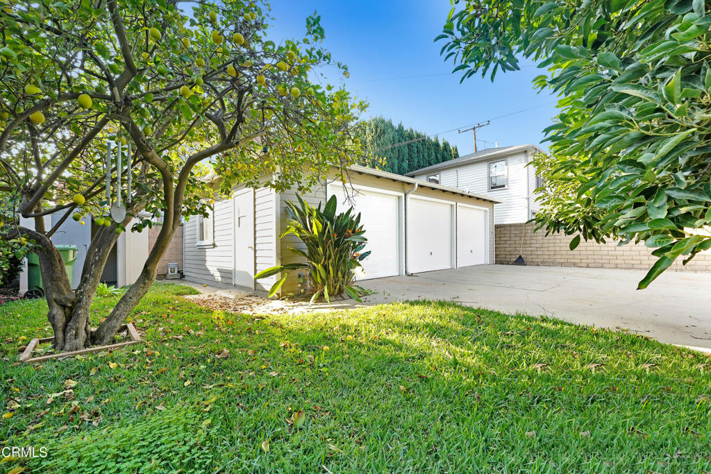907 North Stoneman Avenue Alhambra, CA 91801 - Photo 14 of 19 a backyard of a house with plants and large tree