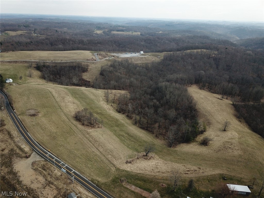 54675 Pugh Ridge Road Alledonia, OH 43902 - Photo 9 of 19