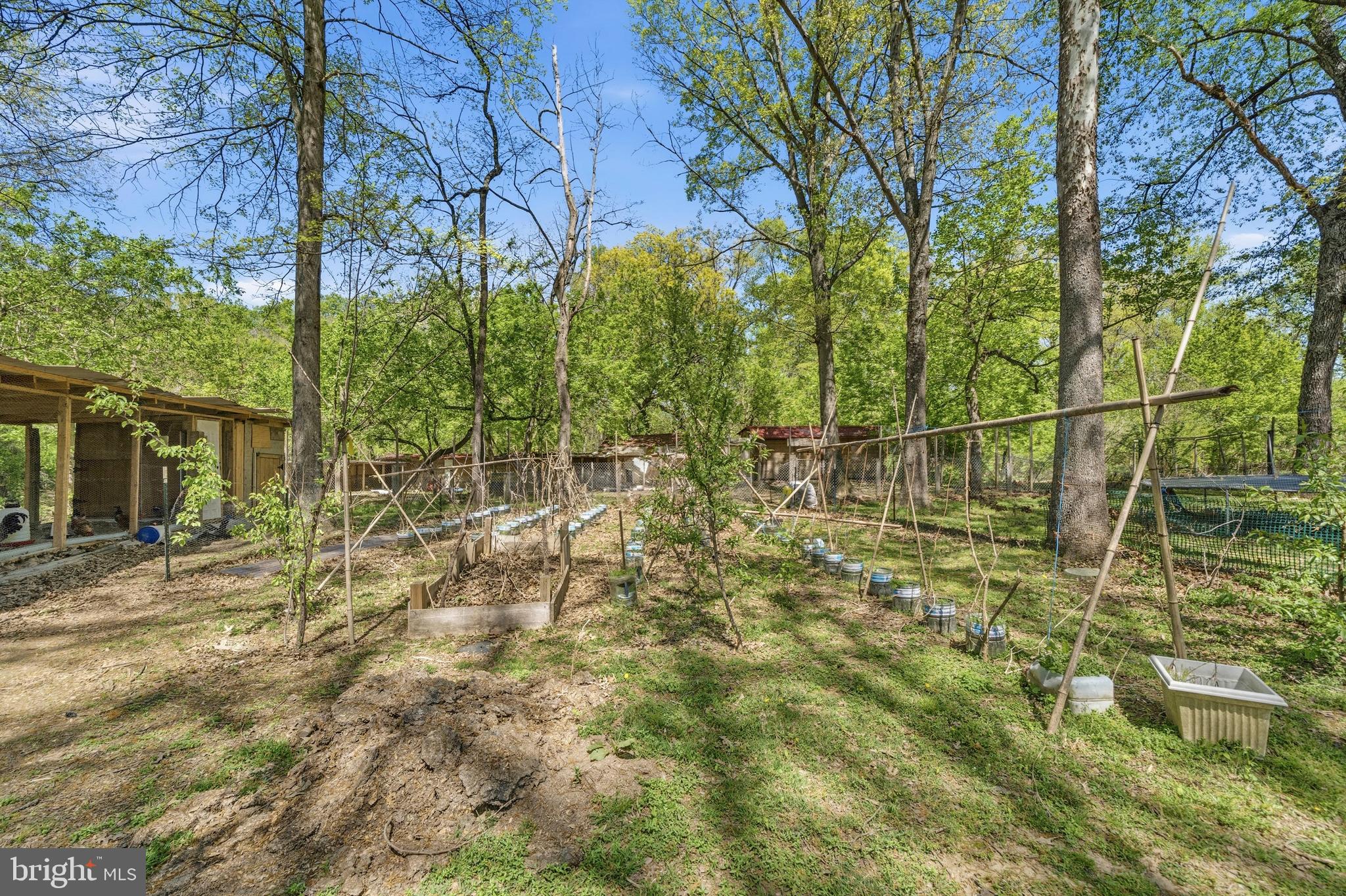 1801 Springvale Court Accokeek, MD 20607 - Photo 63 of 69 Exterior Rear
