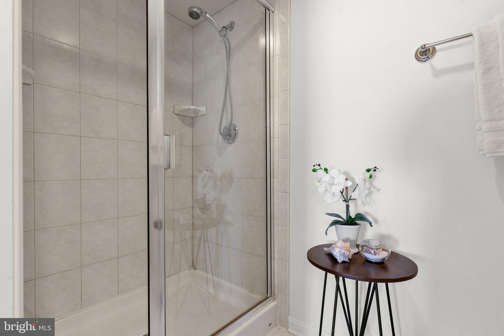 8501 Bayside Road, Unit 605 Chesapeake Beach, MD 20732 - Photo 23 of 30 Separate shower