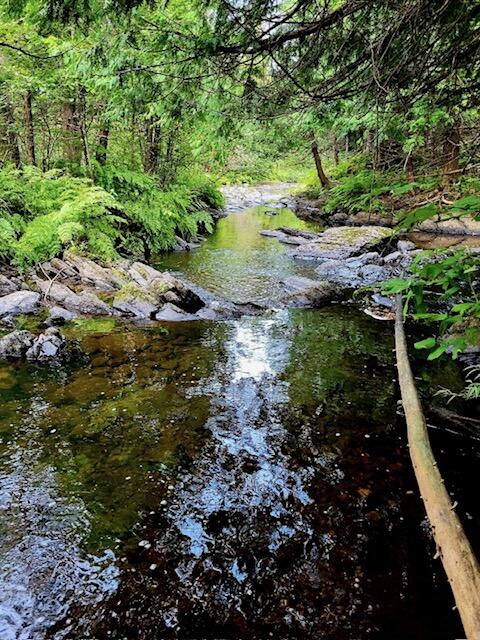 M2-l2 Back Ridge Road Houlton, ME 04730 - Photo 55 of 79 IMG_1492