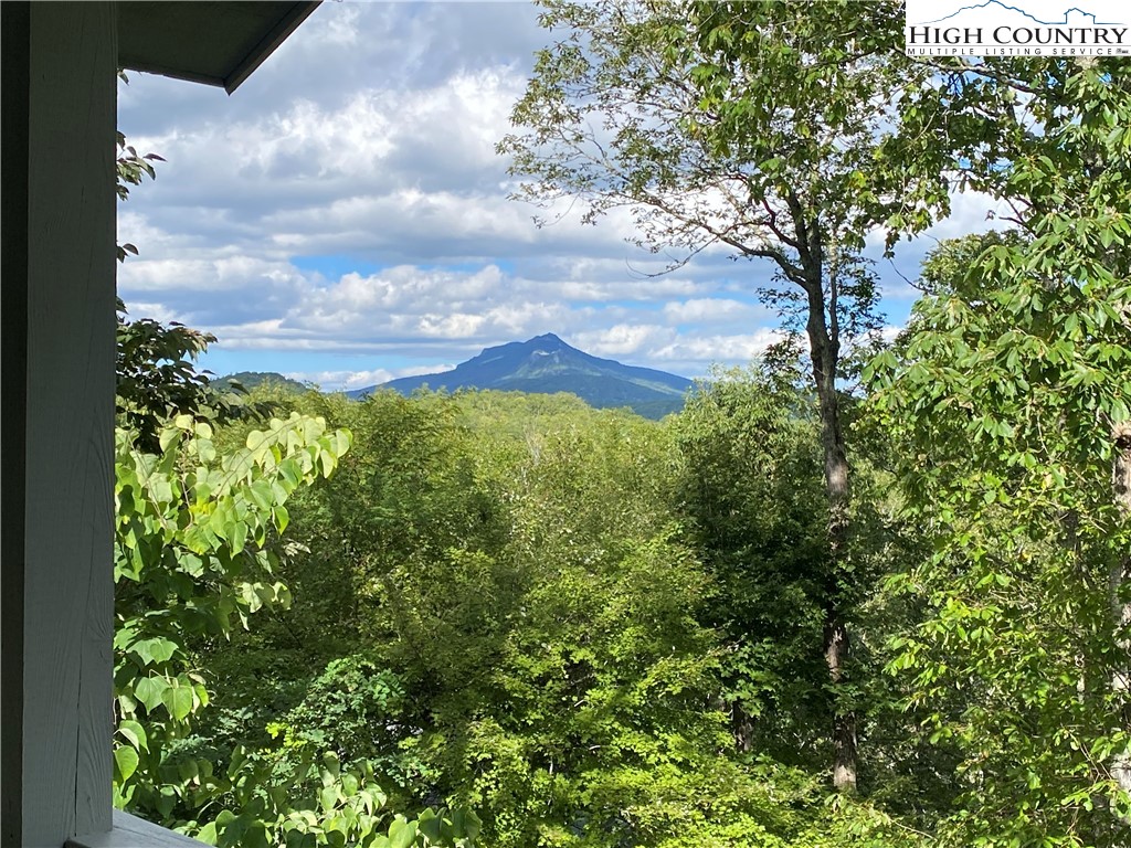 134 Galax Loop Newland, NC 28657 - Photo 43 of 50