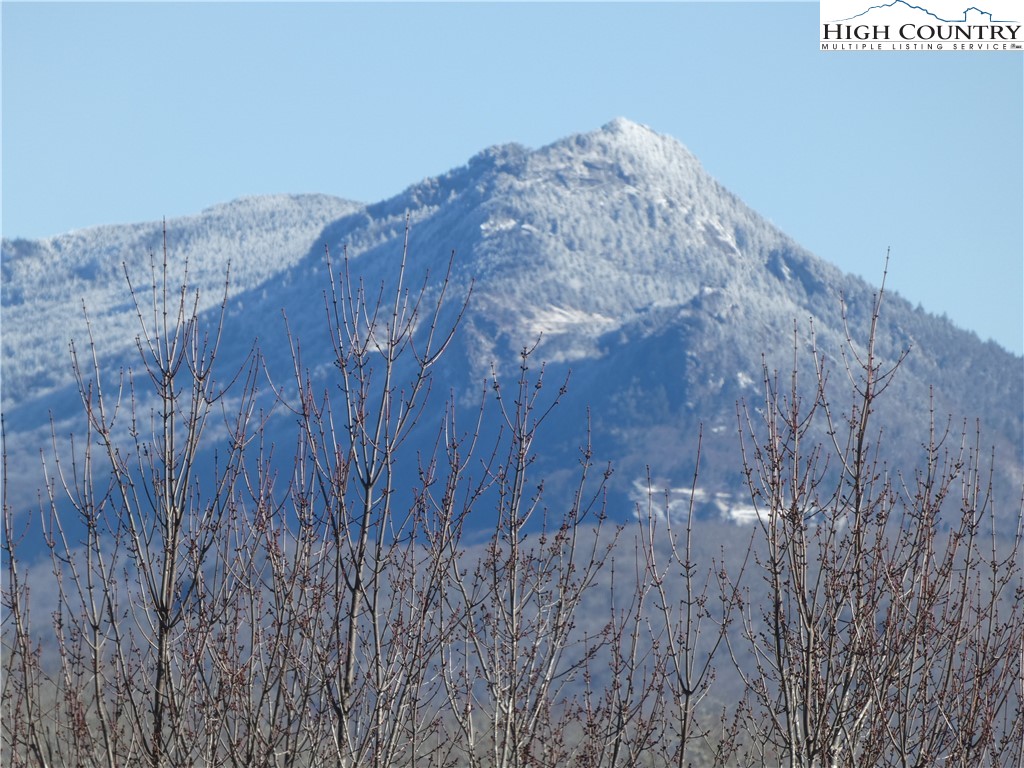 134 Galax Loop Newland, NC 28657 - Photo 44 of 50