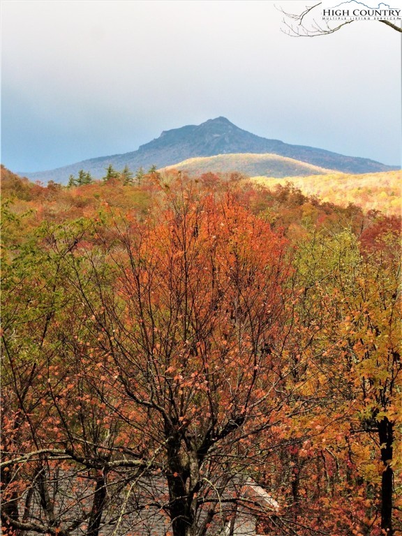 134 Galax Loop Newland, NC 28657 - Photo 46 of 50