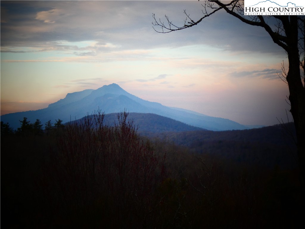 134 Galax Loop Newland, NC 28657 - Photo 48 of 50