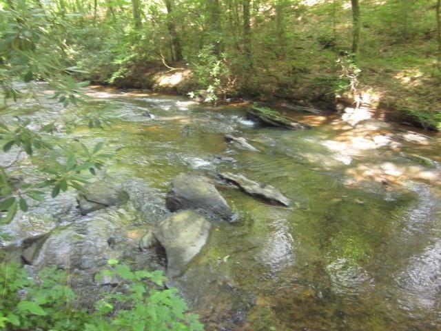 0 Dell Moore Road Marble Hill, GA 30148 - Photo 14 of 18