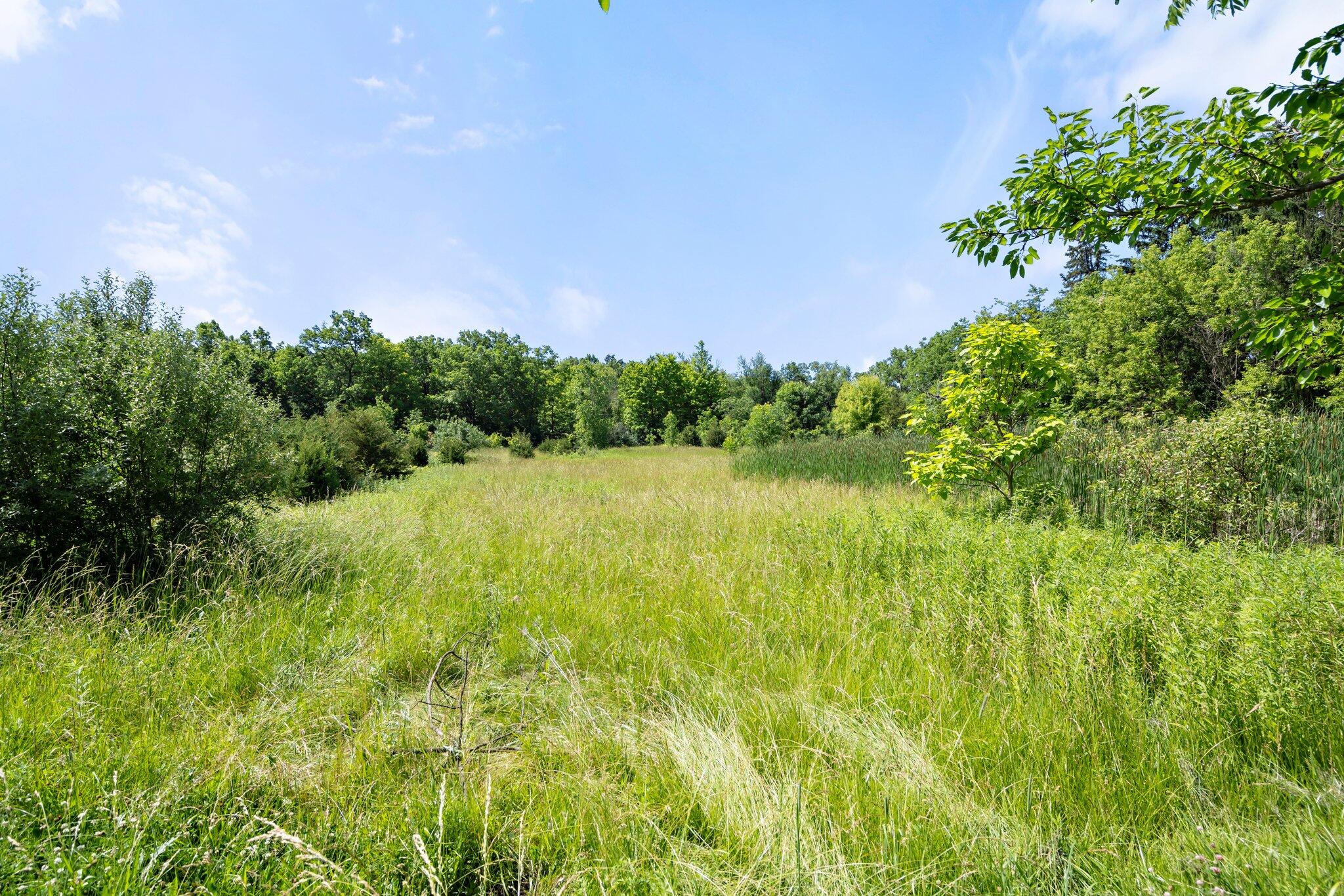 5133 West Waters Road Ann Arbor, MI 48103 - Photo 23 of 43 27-web-or-mls-_DSC9285