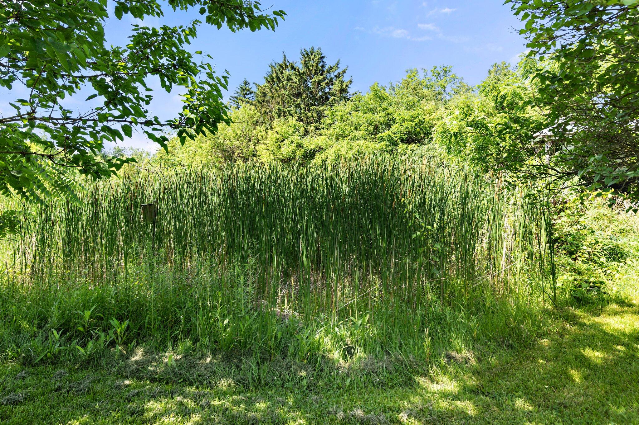 5133 West Waters Road Ann Arbor, MI 48103 - Photo 24 of 43 28-web-or-mls-_DSC9286