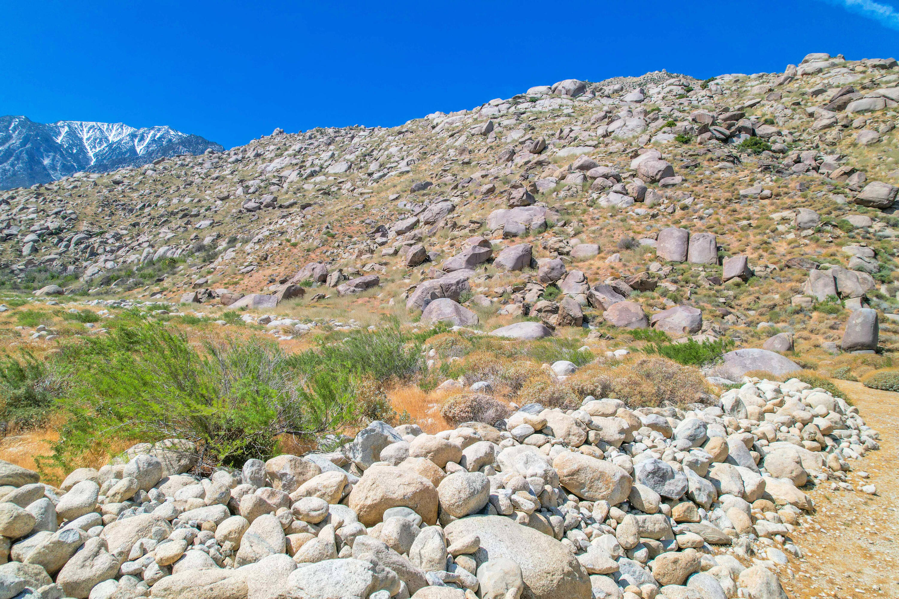 15981 Snowcreek Canyon Road Whitewater, CA 92282 - Photo 34 of 62 Access to Nature & Hiking