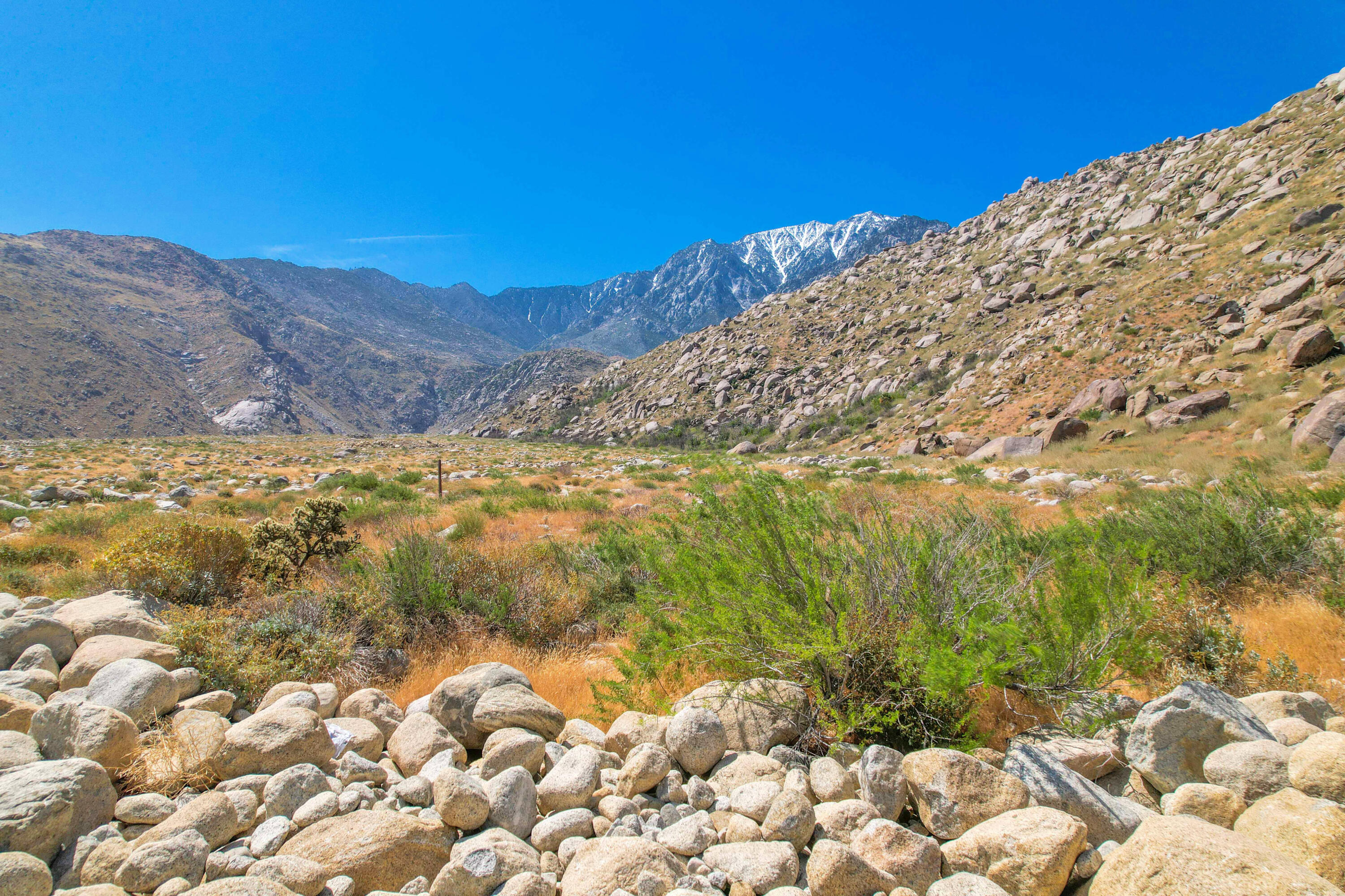 15981 Snowcreek Canyon Road Whitewater, CA 92282 - Photo 35 of 62 Access to Nature & Hiking