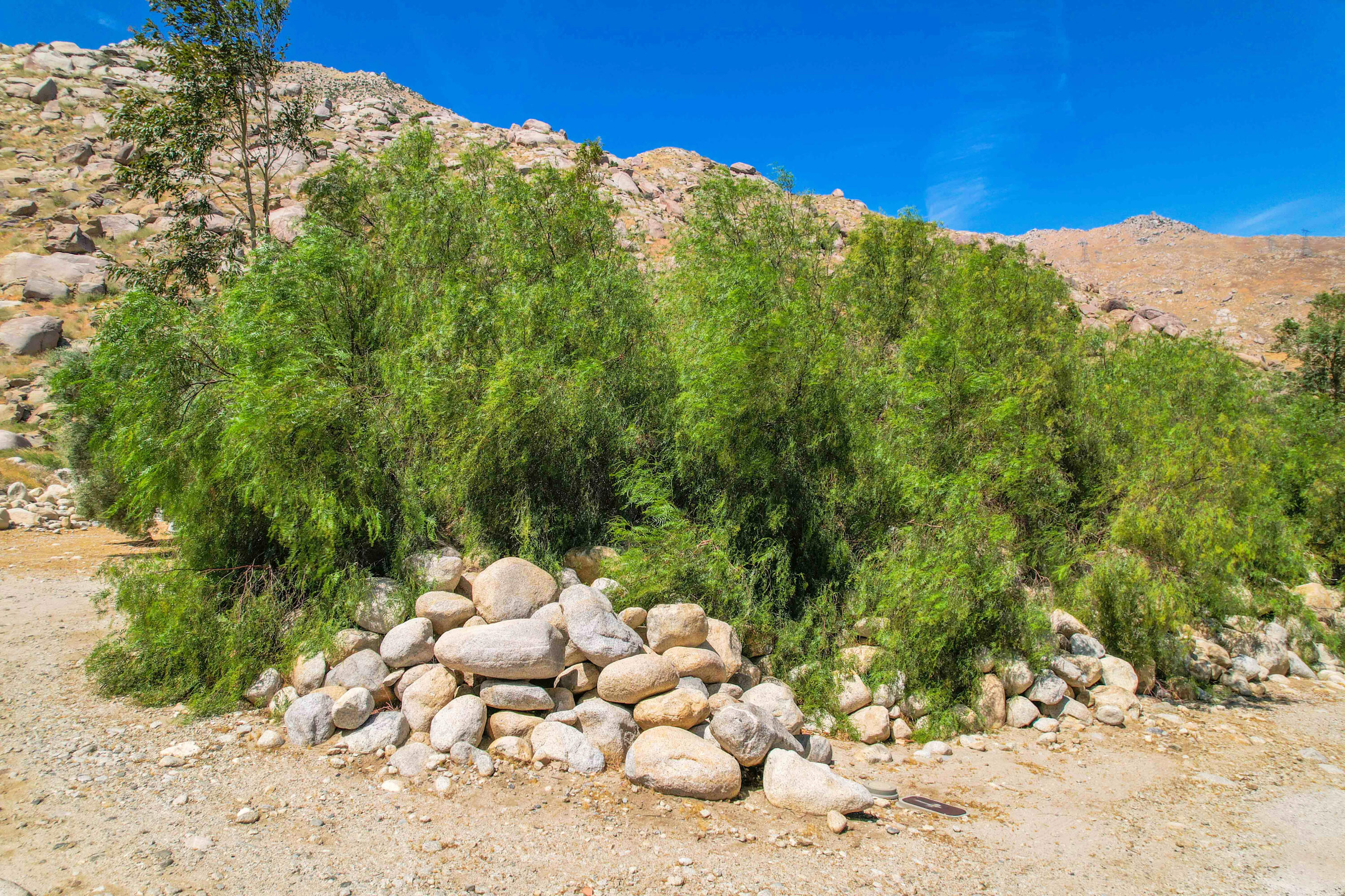 15981 Snowcreek Canyon Road Whitewater, CA 92282 - Photo 60 of 62 Road Frontage