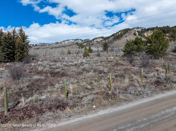$249,900 | Lot 2 Choke Cherry Lane, Irwin, ID 83428