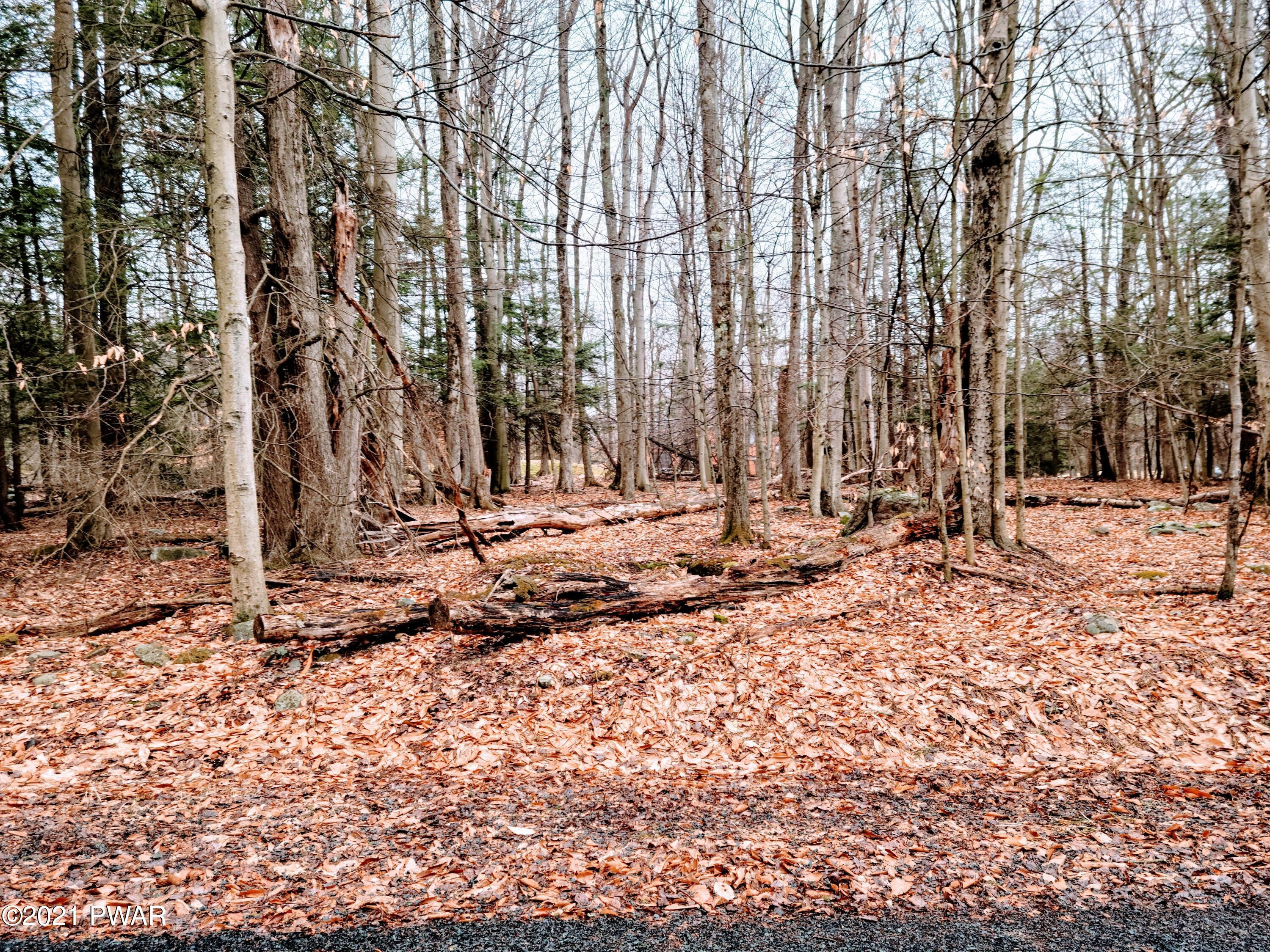 122 Reid Road Lake Ariel, PA 18436 - Photo 2 of 6